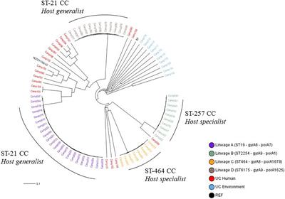 Metaphenotypes associated with recurrent genomic lineages of Campylobacter jejuni responsible for human infections in Luxembourg